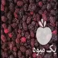 فروش انبه منجمد البالو شاه توت در آبادان در گروه خرید و فروش انبه در یکمیوه