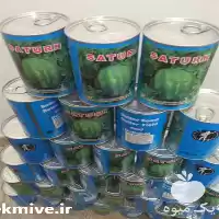 قیمت خرید بذر هندوانه میکادو ساترن در گروه خرید و فروش بذر هندوانه در یکمیوه