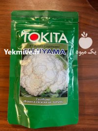 فروش بذر گل کلم توکیتا فوجی در بجنورد در گروه خرید و فروش بذر صیفی جات در یکمیوه