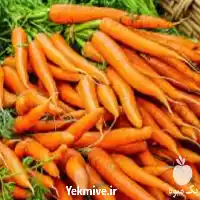 فروش بذر هویج درجه یک در گروه خرید و فروش بذر هویج در یکمیوه