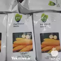 فروش بذر ذرت سمیرا شیرین  نسبتا در مشهد در گروه خرید و فروش بذر ذرت در یکمیوه
