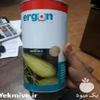فروش بذر خربزه مینو ارگون در گروه خرید و فروش بذر خربزه در یکمیوه
