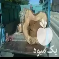 خرید چوب درختان همه نوع چوب در ابهر در گروه خرید و فروش چوب درخت در یکمیوه