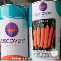توزیع و فروش بذر هویج دیسکاوری در گروه خرید و فروش بذر هویج در یکمیوه