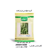 قیمت خرید بذر خیار گلخانه ای در سمنان در گروه خرید و فروش بذر خیار در یکمیوه