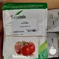 بذر گوجه باسیمو چر فروش اصل در اصفهان در گروه خرید و فروش بذر گوجه در یکمیوه