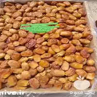 فروش خرما زاهدی نوبرانه درجه یک در ارومیه