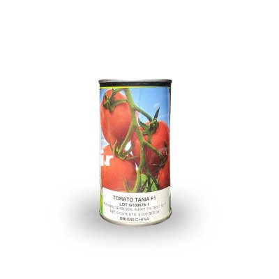 فروش بذر گوجه فرنگی تانیا هزار در بجنورد در گروه خرید و فروش بذر گوجه در یکمیوه -عکس1