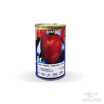 فروش بذر گوجه فرنگی ثنا پربار در گروه خرید و فروش بذر گوجه در یکمیوه -عکس1