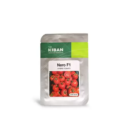 قیمت خرید بذر گوجه فرنگی نرو در تهران در گروه خرید و فروش بذر گوجه در یکمیوه -عکس1