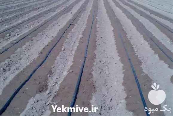 فروش نوار تیپ کشاورزی پلاک دار در تهران در گروه خرید و فروش نوار تیپ در یکمیوه -عکس1