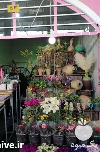 فروش خدمات باغبانی در کرمان  در گروه خدمات باغبانی در یکمیوه -عکس1