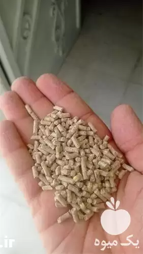 فروش دان مرغ بومی و محلی در کرج در گروه خوراک دام و طیور در یکمیوه -عکس1