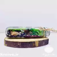 فروش انواع تراریوم های زیبا در قزوین در گروه خرید و فروش گیاهان زینتی در یکمیوه