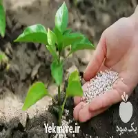 قیمت خرید کود ارگانیک در تهران در گروه خرید و فروش کود کمپوست در یکمیوه