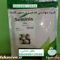 بذر پیاز سفید سایروس در گروه خرید و فروش بذر پیاز در یکمیوه