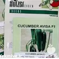 قیمت خرید بذر خیار گلخانه ای در شیراز در گروه خرید و فروش بذر خیار در یکمیوه