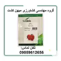 بذر گوجه فرنگی بدرو در شیراز در گروه خرید و فروش بذر گوجه در یکمیوه