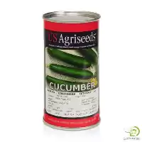 آگهی مشابه قیمت خرید بذر خیار سورینا یو در تهران در گروه خرید و فروش بذر خیار در یکمیوه