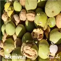 خرید فروش گردو خراسان شمالی کاغذی در بجنورد در گروه خرید و فروش گردو در یکمیوه