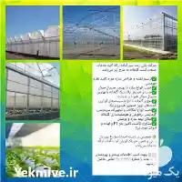 قیمت خرید طراحی و نصب سازه گلخانه در شهرکرد در گروه خرید و فروش سوله و سازه گلخانه در یکمیوه