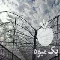 ساخت و نصب گلخانه در قائم شهر در گروه سازنده در یکمیوه