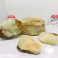 فروش خرید لوازم تراریوم و وسایل در مشهد در گروه خرید و فروش گیاهان زینتی در یکمیوه