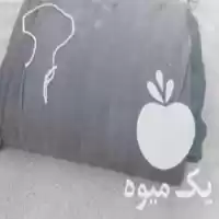 قیمت خرید توری سایبان شید گلخانه در تهران در گروه خرید و فروش توری گلخانه در یکمیوه