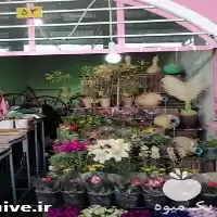 فروش خدمات باغبانی در کرمان  در گروه خدمات باغبانی در یکمیوه