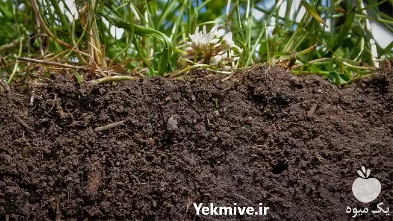 قیمت خرید خاک کوکوپیت درجه یک در تهران در گروه خرید و فروش انواع کود کشاورزی در یکمیوه -عکس1