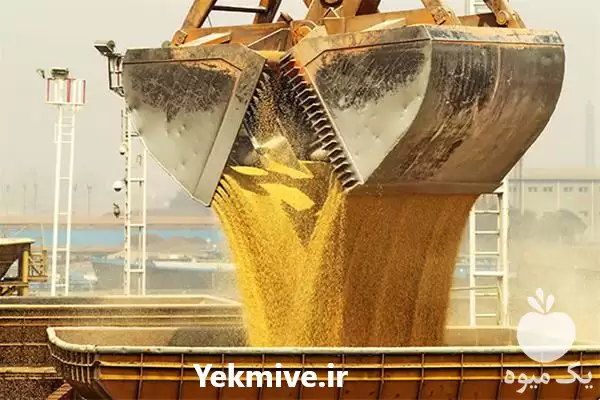 قیمت خرید کنجاله سویا برزیلی در شیراز در گروه خوراک دام و طیور در یکمیوه -عکس1