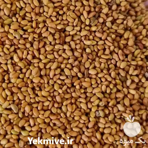 قیمت خرید بذر یونجه در گروه خرید و فروش بذر یونجه در یکمیوه -عکس1