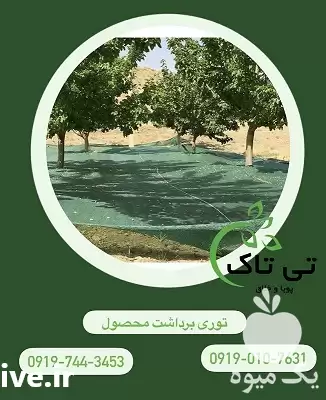 قیمت خرید توری شید برداشت محصول در زنجان در گروه خرید و فروش توری گلخانه در یکمیوه -عکس1
