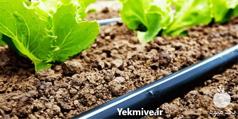 تولید و فروش شلنگ کشاورزی در تهران در گروه خرید و فروش دستگاه آبیاری در یکمیوه -عکس1