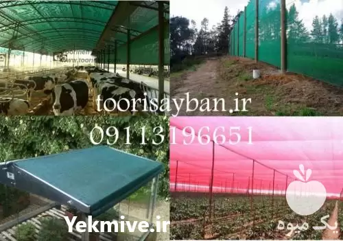 فروش تولید توری سایبان گلخانه تراکم در شیراز در گروه خرید و فروش توری گلخانه در یکمیوه -عکس1