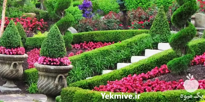 طراحی و نگهداری فضای سبز در گروه سازنده در یکمیوه -عکس1