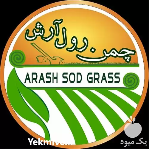 تولید و فروش چمن رول طبیعی در کرج در گروه خرید و فروش بذر گل در یکمیوه -عکس1