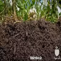 قیمت خرید خاک کوکوپیت درجه یک در تهران در گروه خرید و فروش انواع کود کشاورزی در یکمیوه