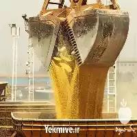 قیمت خرید کنجاله سویا برزیلی در شیراز در گروه خوراک دام و طیور در یکمیوه