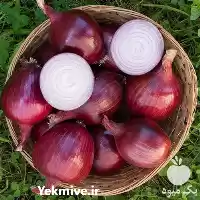 فروش انواع بذر پیاز در برند در کرج در گروه خرید و فروش بذر پیاز در یکمیوه