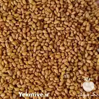 قیمت خرید بذر یونجه در گروه خرید و فروش بذر یونجه در یکمیوه