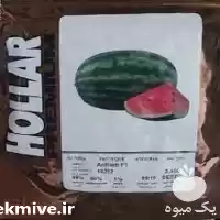 قیمت خرید رقم هندوانه کریمسون پلاس در گروه خرید و فروش بذر هندوانه در یکمیوه