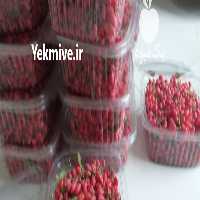 فروش زرشک شاخه تازه