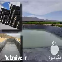 قیمت خرید احداث استخر ذخیره آب در گروه خرید و فروش استخر کشاورزی در یکمیوه