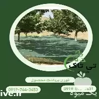 قیمت خرید توری شید برداشت محصول در زنجان در گروه خرید و فروش توری گلخانه در یکمیوه