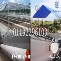 قیمت خرید شیدگلخانه صد واقعی در تهران در گروه خرید و فروش توری گلخانه در یکمیوه