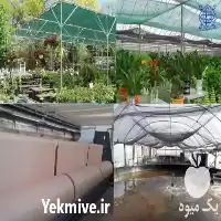 قیمت خرید تولید توری گلخانه ای در تهران در گروه خرید و فروش توری گلخانه در یکمیوه