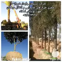 انتقال قطع هرس درختان جهت نوسازی در گروه هرس کاری در یکمیوه