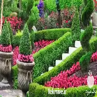 طراحی و نگهداری فضای سبز در گروه سازنده در یکمیوه