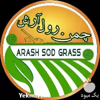 تولید و فروش چمن رول طبیعی در کرج در گروه خرید و فروش بذر گل در یکمیوه